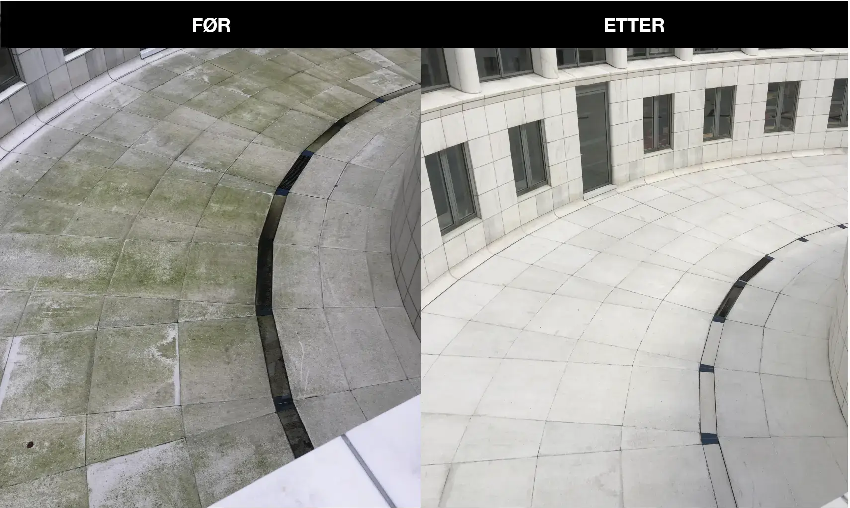 sopp & alger - Bilde 2