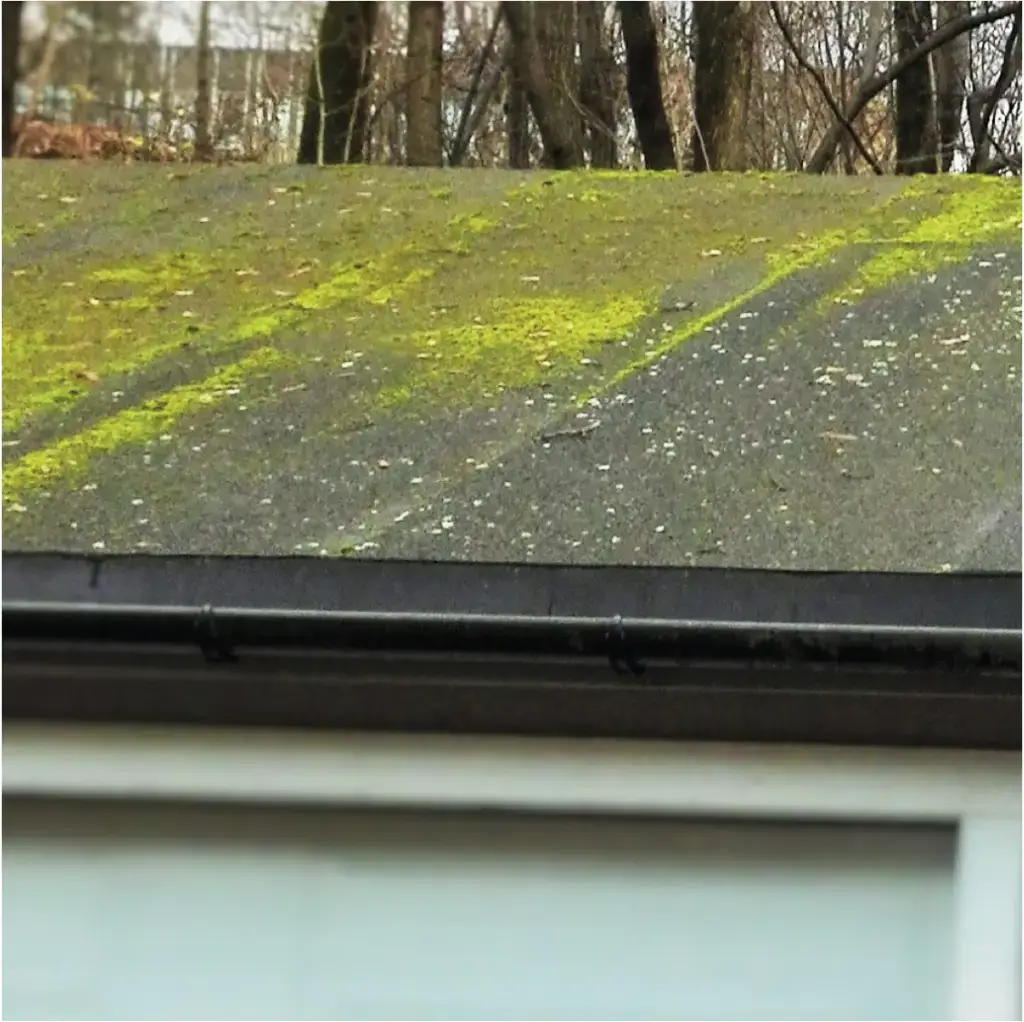 Rengjøring, rens og impregnering av takstein