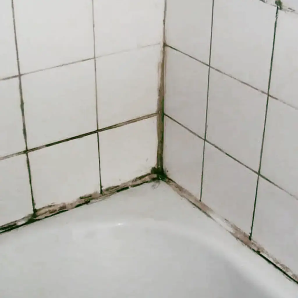 Rengjøring, rens og impregnering av innvendig fliser, benkeplater, marmor, finere stein og lignende